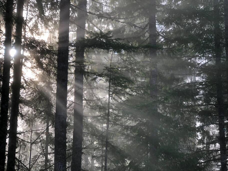The Cabin In Packwood Esterno foto