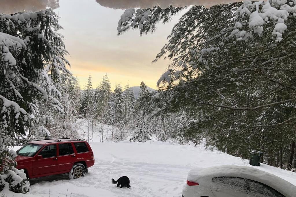 The Cabin In Packwood Esterno foto