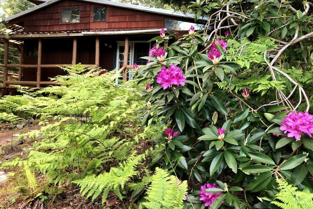 The Cabin In Packwood Esterno foto